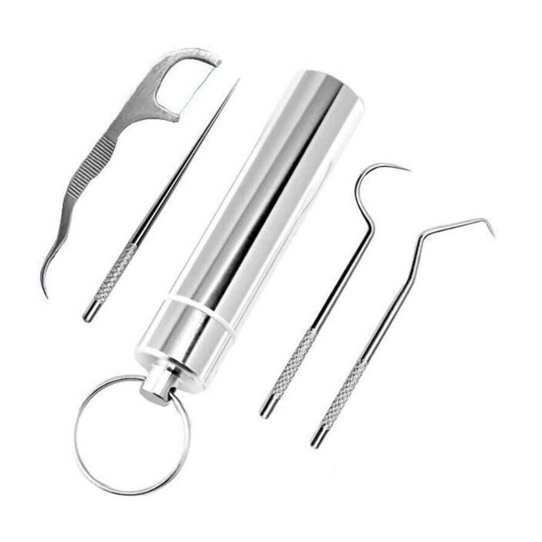Stainless Steel Reusable Portable Toothpick Set with KeyChain Holder